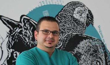 Köpeğinizin Geleceğini Tehdit Eden Risk: Meme Tümörleri...