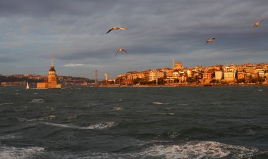 'Kültürel Miras Olarak Belgesel Sinemanın Geliştirilmesi’ Projesi Başlıyor