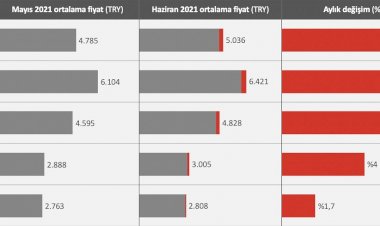 Türkiye Konut Piyasasının En Değerli İl ve İlçeleri