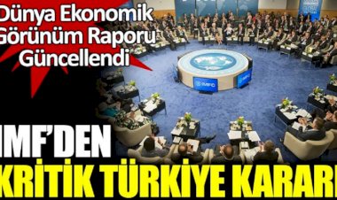 IMF'den kritik Türkiye kararı