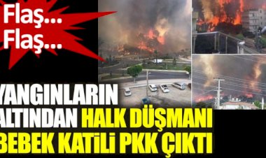 Yangınların altından halk düşmanı bebek katili PKK çıktı