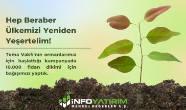 İnfo Yatırım Fidan Bağışı İçin #Challenge Hareketi Başlattı