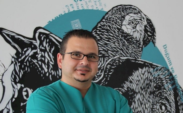 Köpeğinizin Geleceğini Tehdit Eden Risk: Meme Tümörleri...