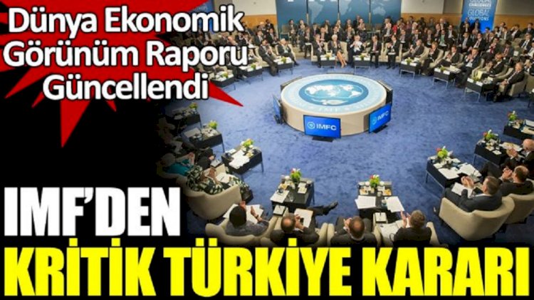 IMF'den kritik Türkiye kararı