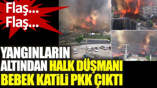 Yangınların altından halk düşmanı bebek katili PKK çıktı