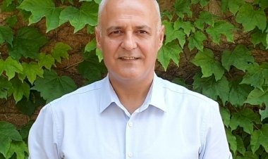 Ormanlar neden yanıyor?