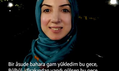 BAŞIMIZ SAĞALSIN!