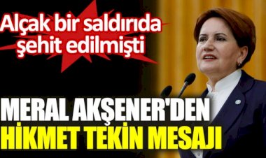 Meral Akşener'den Hikmet Tekin mesajı