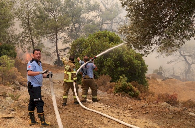 BODRUM BELEDİYESİ YANGIN YERİNDE, MÜCADELE SÜRÜYOR