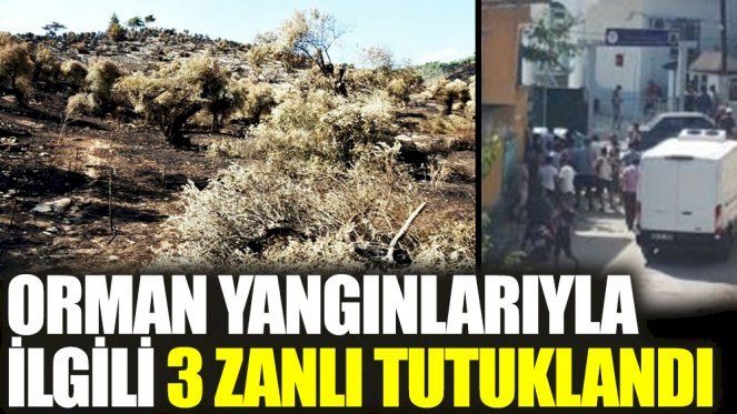 Orman yangınlarıyla ilgili 3 zanlı tutuklandı