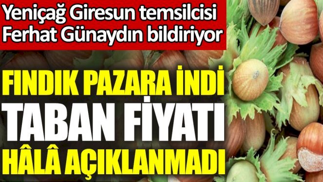 Fındık pazara indi taban fiyatı hâlâ açıklanmadı