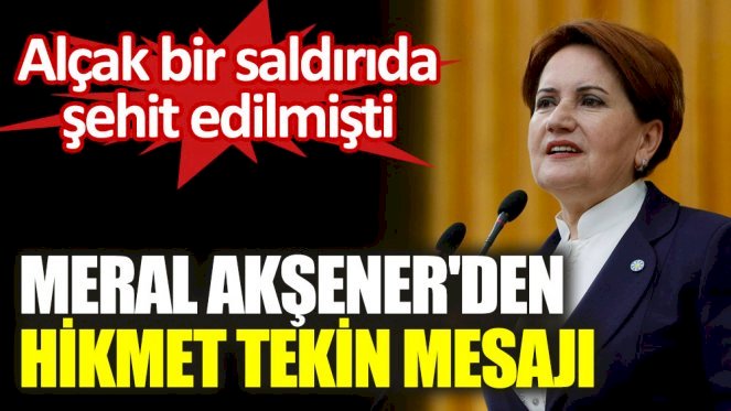 Meral Akşener'den Hikmet Tekin mesajı