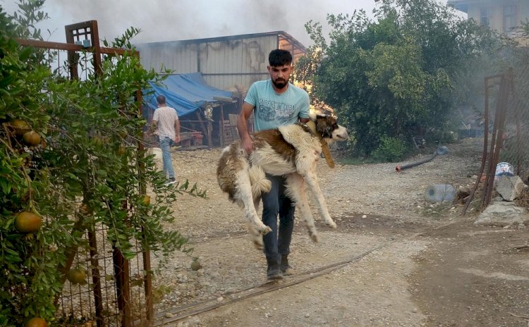 TÜRKİYE'NİN YEŞİL PLANA İHTİYACI VAR!