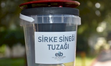 Rekolte kaybını önlemek için Akdeniz Meyve Sineği ile bölgesel mücadele çağrısı