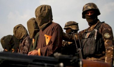 Afganistan: Taliban, IŞİD ve El Kaide nasıl ayrışıyor, aralarında ne farklar var?