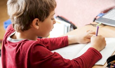 Okula Yardımcı Hangi Özel Dersler İlgi Görüyor?