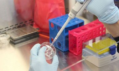 Kamu kuruluşlarında PCR testi zorunluluğu getirildi