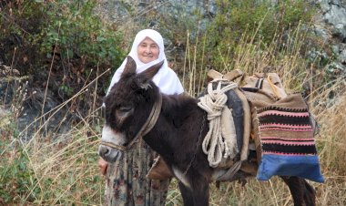 Köyümden... Gönlümden... Emne Yengem.
