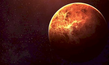 10 Eylül – 7 Ekim Venüs Akrep burcunda: Öldüren cazibe