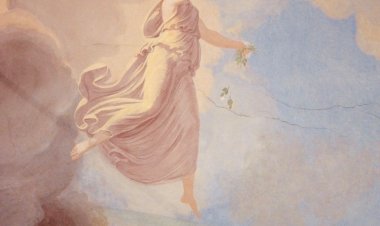 Göze Vuran Işık ve İris’in Anlamları