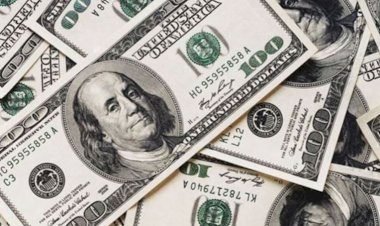 Dolarda 'faiz indirimi' beklentisi sürüyor: Dolar ne kadar oldu? 13 Eylül 2021