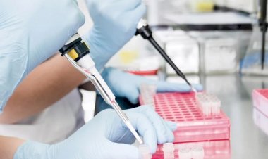 Türk bilim insanları, grip ve COVID-19’u aynı örnekten saptayan Hibrit PCR Tanı Kiti geliştirdi