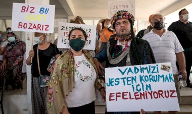 ZEYTİN AĞAÇLARI DAVAYI KAZANDI