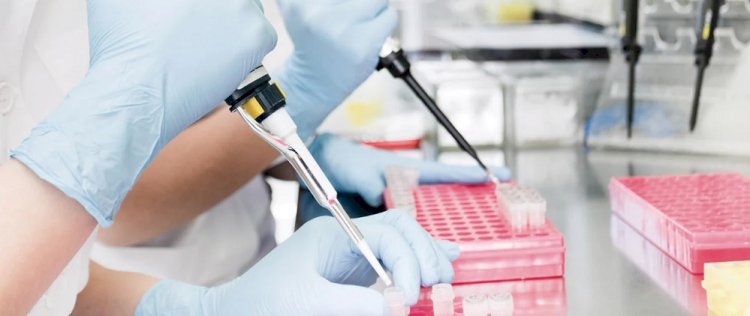 Türk bilim insanları, grip ve COVID-19’u aynı örnekten saptayan Hibrit PCR Tanı Kiti geliştirdi
