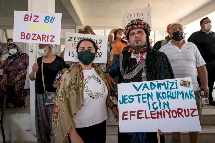 ZEYTİN AĞAÇLARI DAVAYI KAZANDI