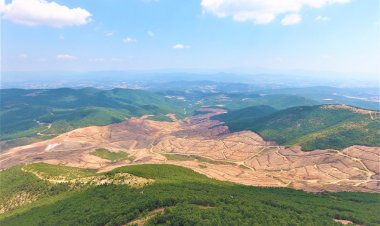 Kaz Dağları’ndan sevindirici haber: