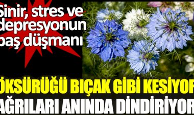 Öksürüğü bıçak gibi kesiyor ağrıları anında dindiriyor