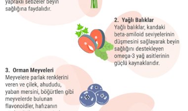 BEYİN SAĞLIĞI İÇİN FAYDALI 5 ÖNEMLİ BESİN