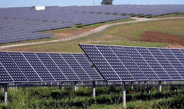 COP26’ya Doğru: Artık Eylem Zamanı