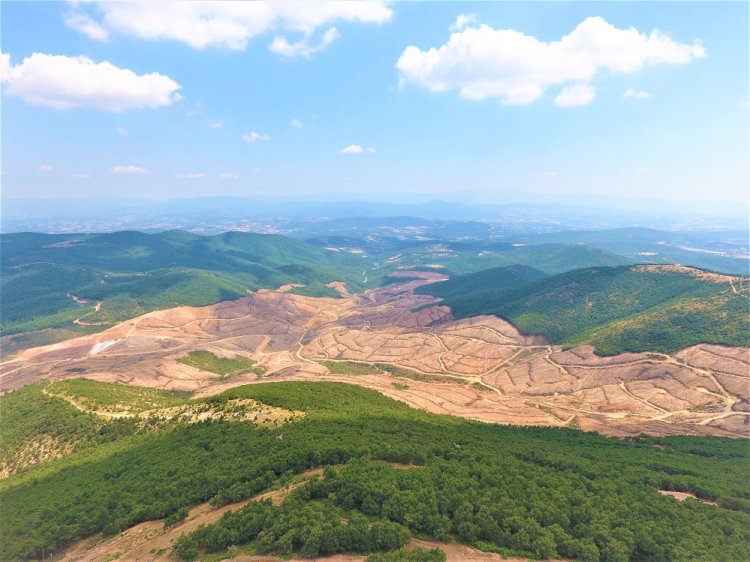 Kaz Dağları’ndan sevindirici haber: