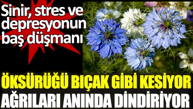 Öksürüğü bıçak gibi kesiyor ağrıları anında dindiriyor