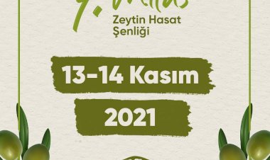 7.Milas Zeytin Hasat Şenliği’ne Sayılı Günler Kaldı