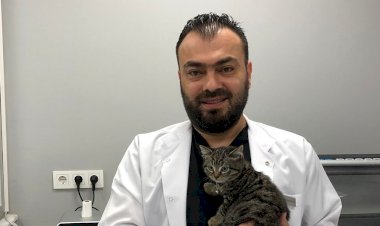 Evcil Hayvanlarda Yüksekten Düşme ile Çok Sık Karşılaşılıyor
