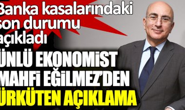 Ünlü ekonomist Mahfi Eğilmez'den ürküten açıklama