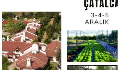 YENİ YIL ÖNCESİ SAĞLIKLI BİR HAFTASONUNA NE DERSİNİZ? SON YERLER İÇİN ACELE EDİN: