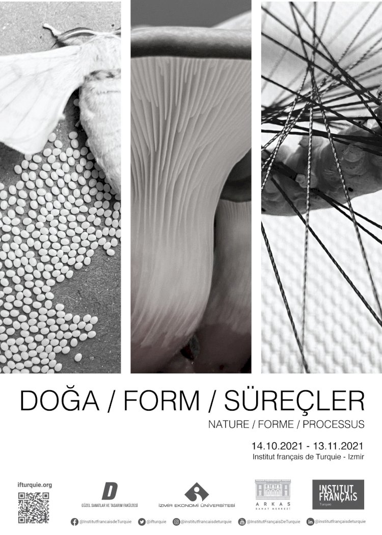 SERGİ: DOĞA / FORM / SÜREÇLER