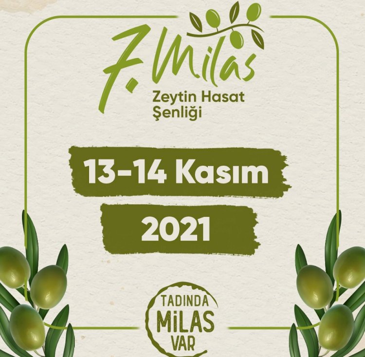 7.Milas Zeytin Hasat Şenliği’ne Sayılı Günler Kaldı