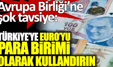 Avrupa Birliği'ne şaşırtıcı tavsiye "Türkiye'ye Euro'yu para birimi olarak kullandırın"