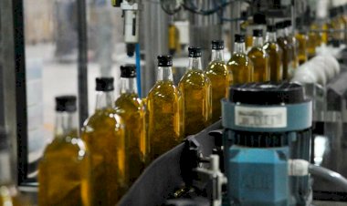 ‘Fiyat biçilemeyince zeytinyağı rafa çıkamadı’
