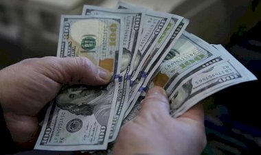 Patronlardan dikkat çeken dolar tepkisi: Geleceği göremiyoruz