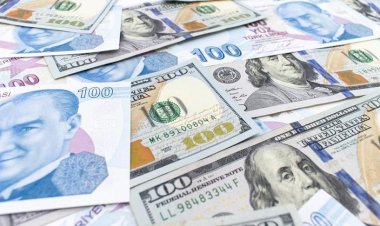 Merkez Bankası’ndan ‘firmalara döviz satımı’ açıklaması