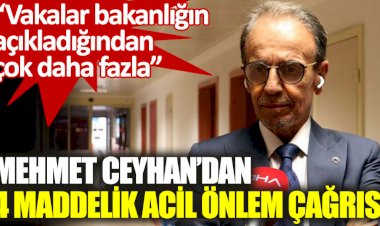 Prof. Dr. Ceyhan: Vakalar bakanlığın açıkladığından çok daha fazla