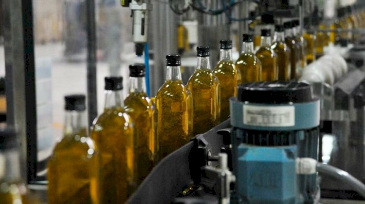 ‘Fiyat biçilemeyince zeytinyağı rafa çıkamadı’
