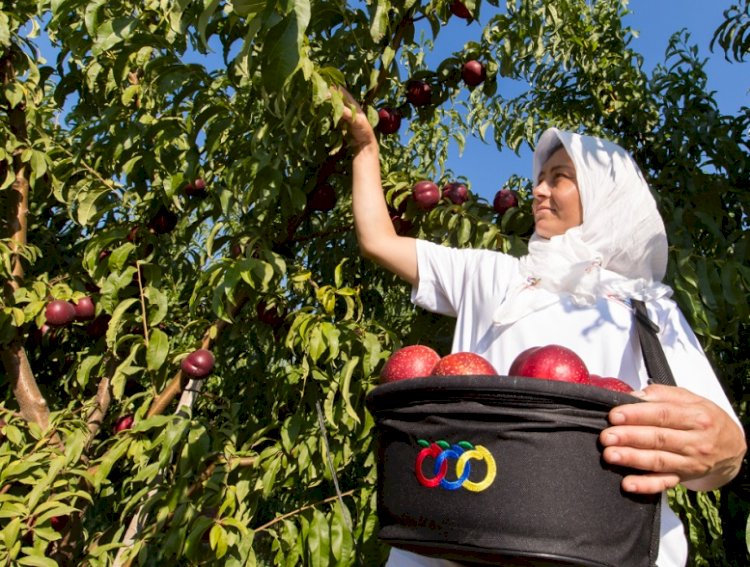 Anadolu Etap Üçüncü Sürdürülebilirlik Raporunu Yayınladı