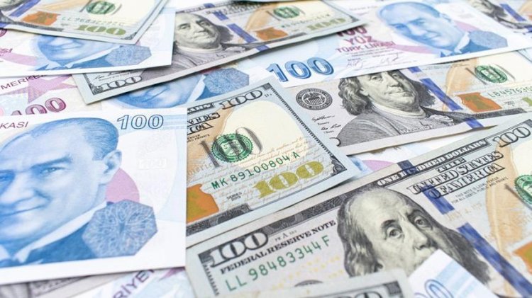 Merkez Bankası’ndan ‘firmalara döviz satımı’ açıklaması