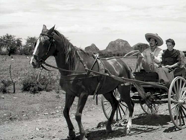 Bir Buñuel ve Bravo Fotoğraf Sergisi ‘’NAZARİN’’ için Son Gün 27 Aralık!